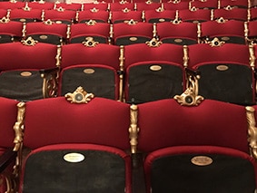 The Nelson Historic Theatre Trust logo